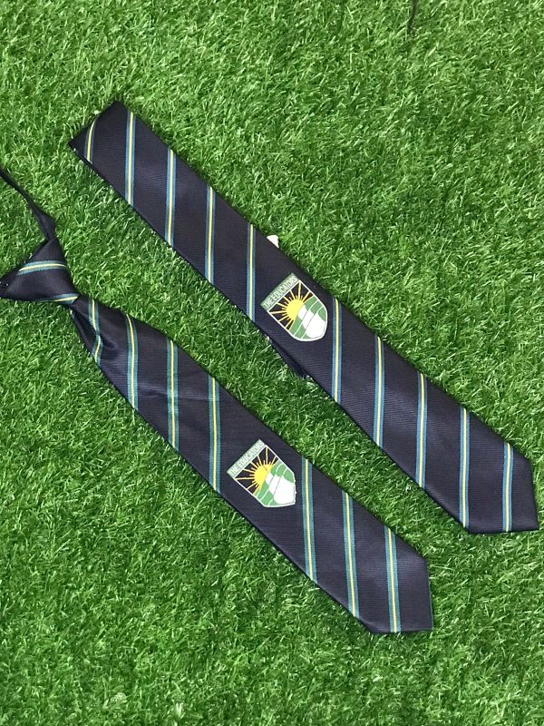 Educator Tie